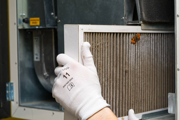 Best Affordable Duct Cleaning Services  in Enon, OH